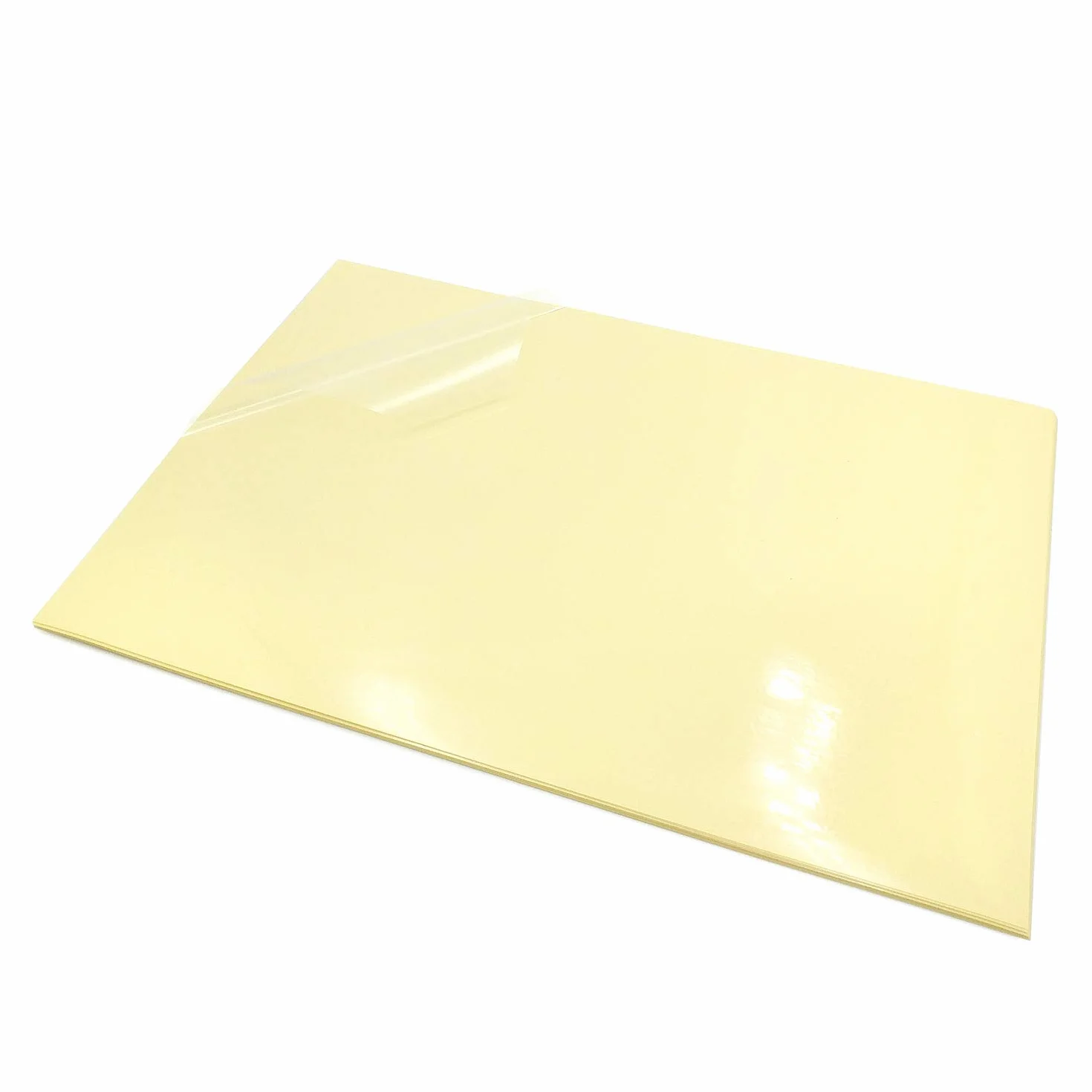 Evergreen Goods 10 Fogli A4 Lucida Vinile Carta Adesiva Trasparente per Stampanti Laser