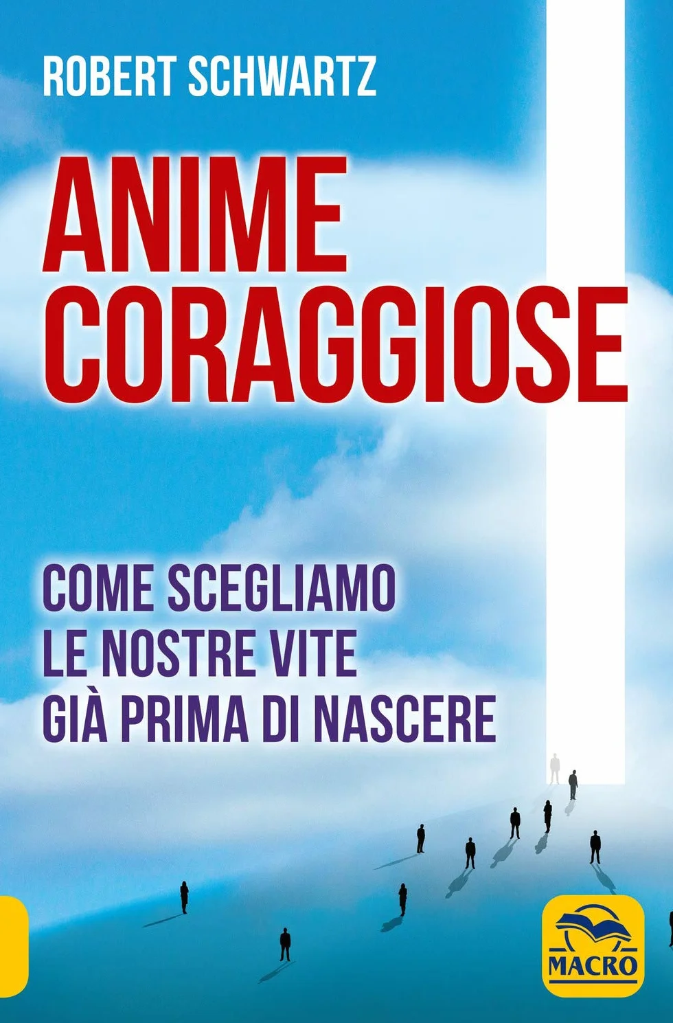 Anime coraggiose. Come scegliamo le nostre vite già prima di nascere