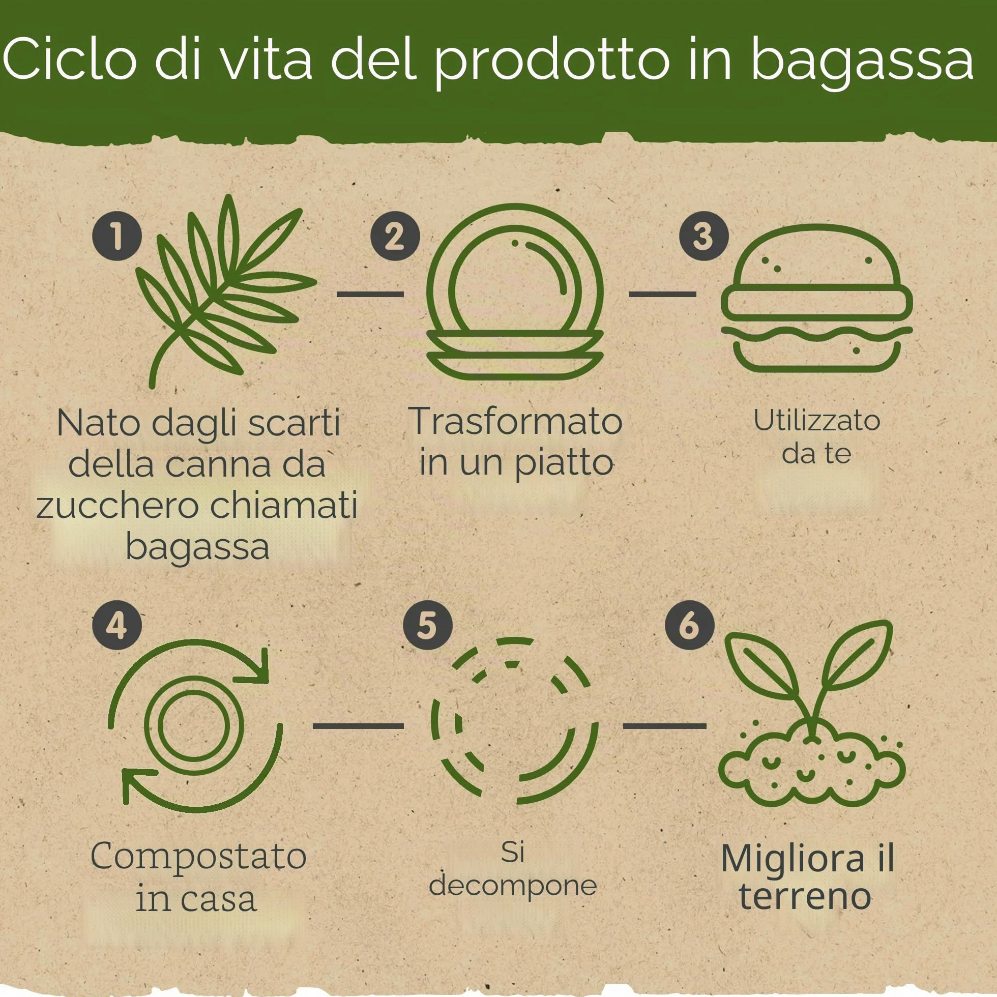 Contenitori per hamburger in bagassa 15,2 cm set da 50 biodegradabili compostabili riciclabili