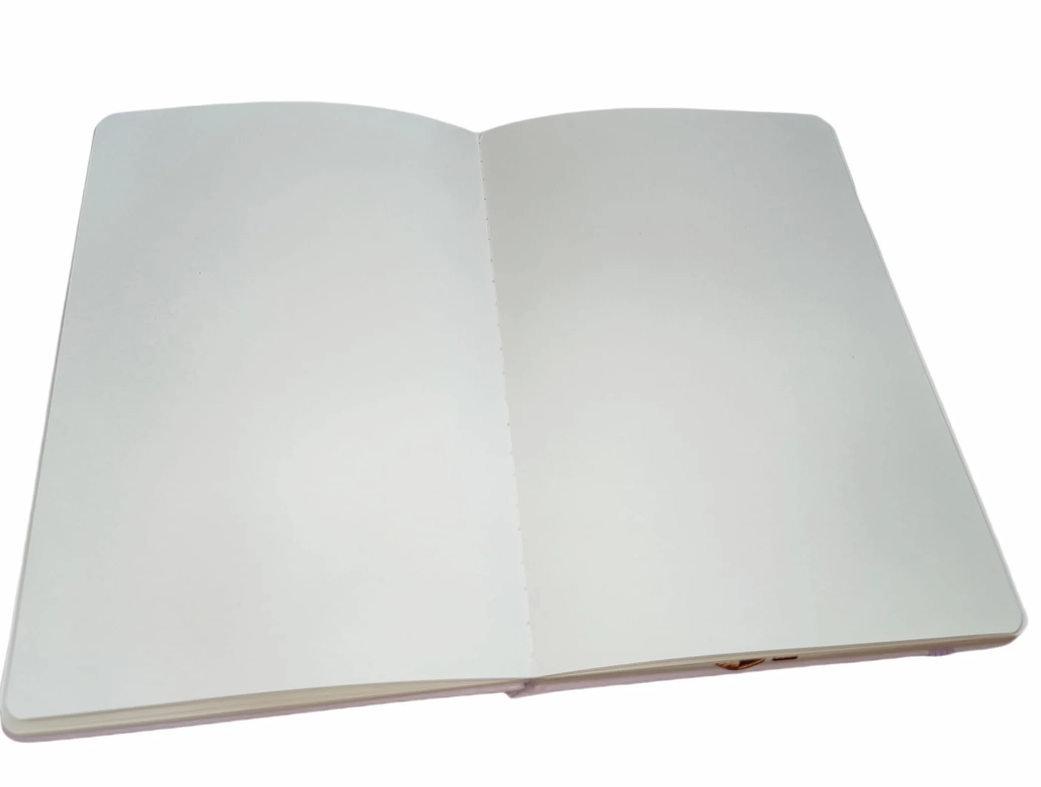 Taccuino A5 Bianco Copertina Rigida 120GSM 172 Pagine Quaderno con Tasca Posteriore Banda Elastica Lilla