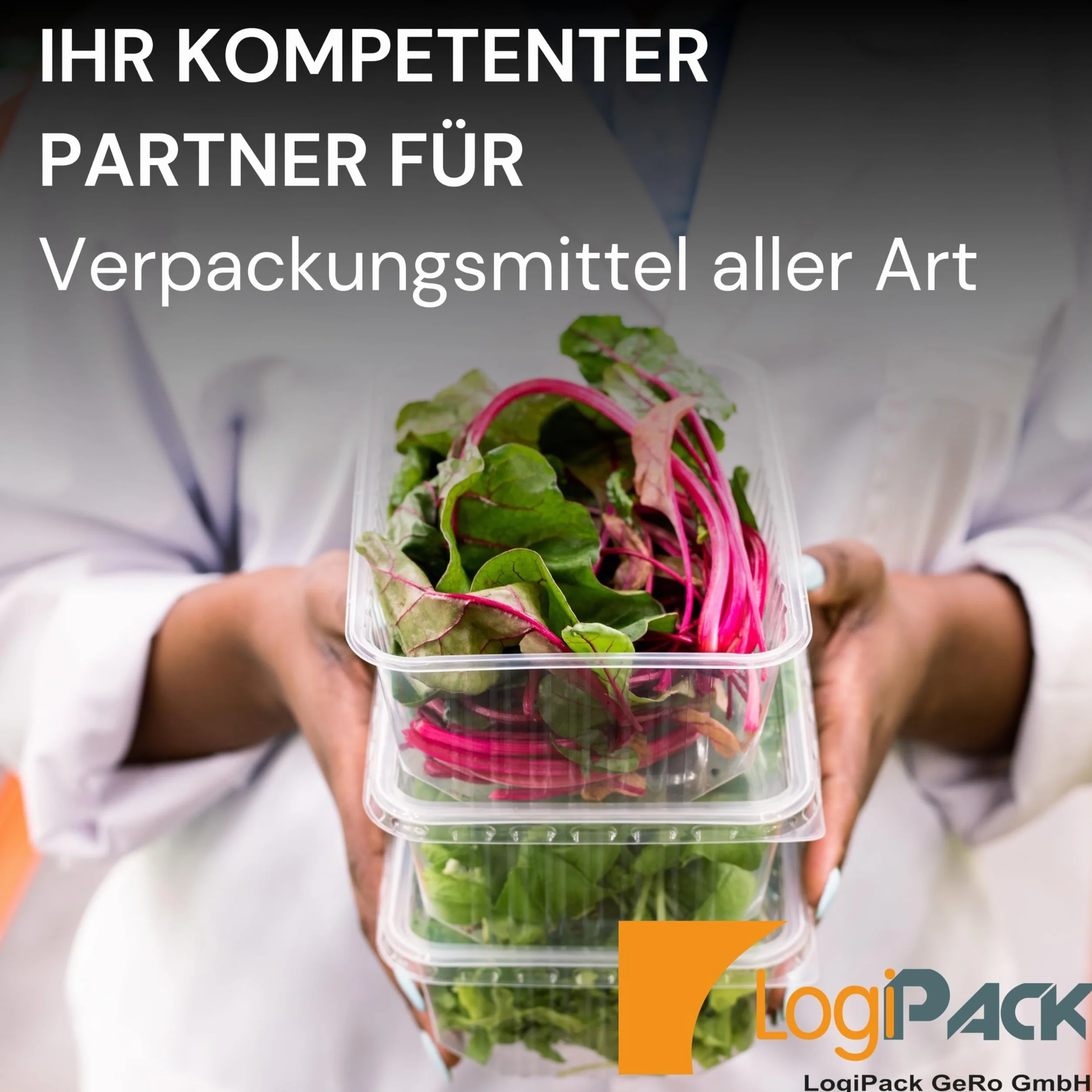 Tazza per alimenti rettangolare 500 ml con coperchio – Contenitore in polipropilene per insalata, snack e take-away