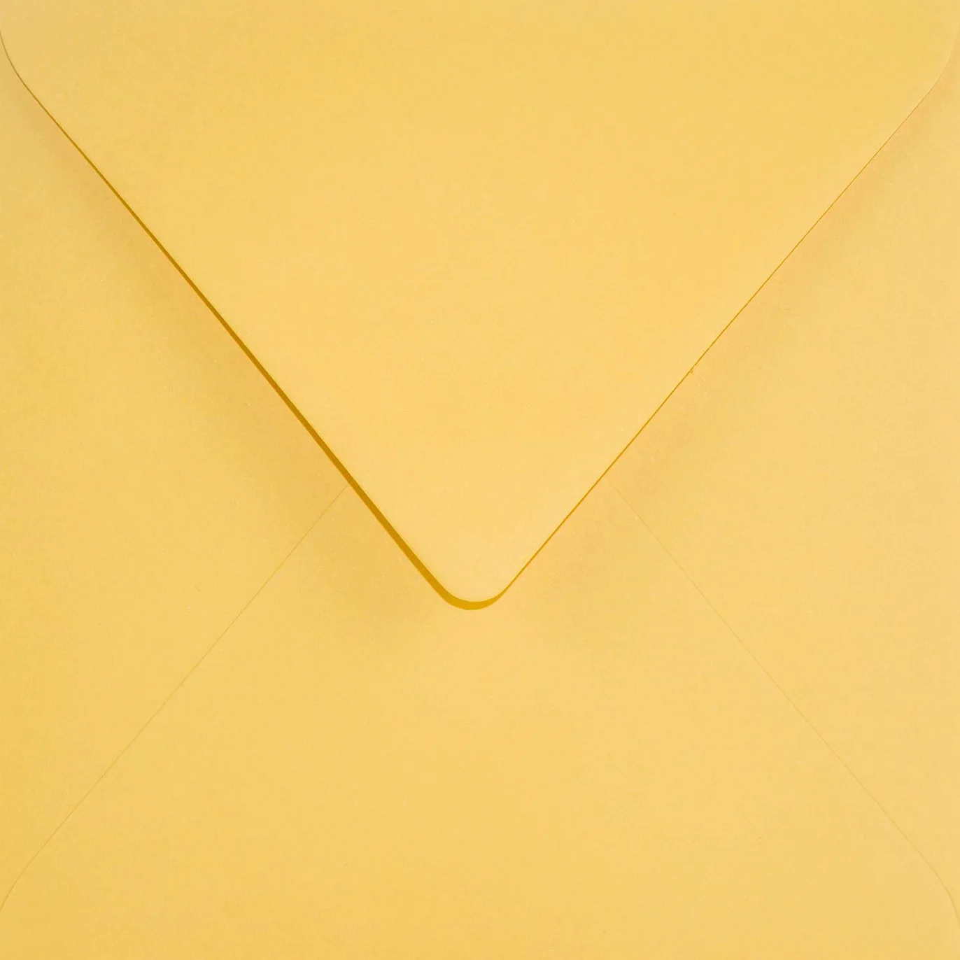 Keaykolour Indian Yellow Netuno 25 buste quadrate 15,3 x 15,3 cm 120g