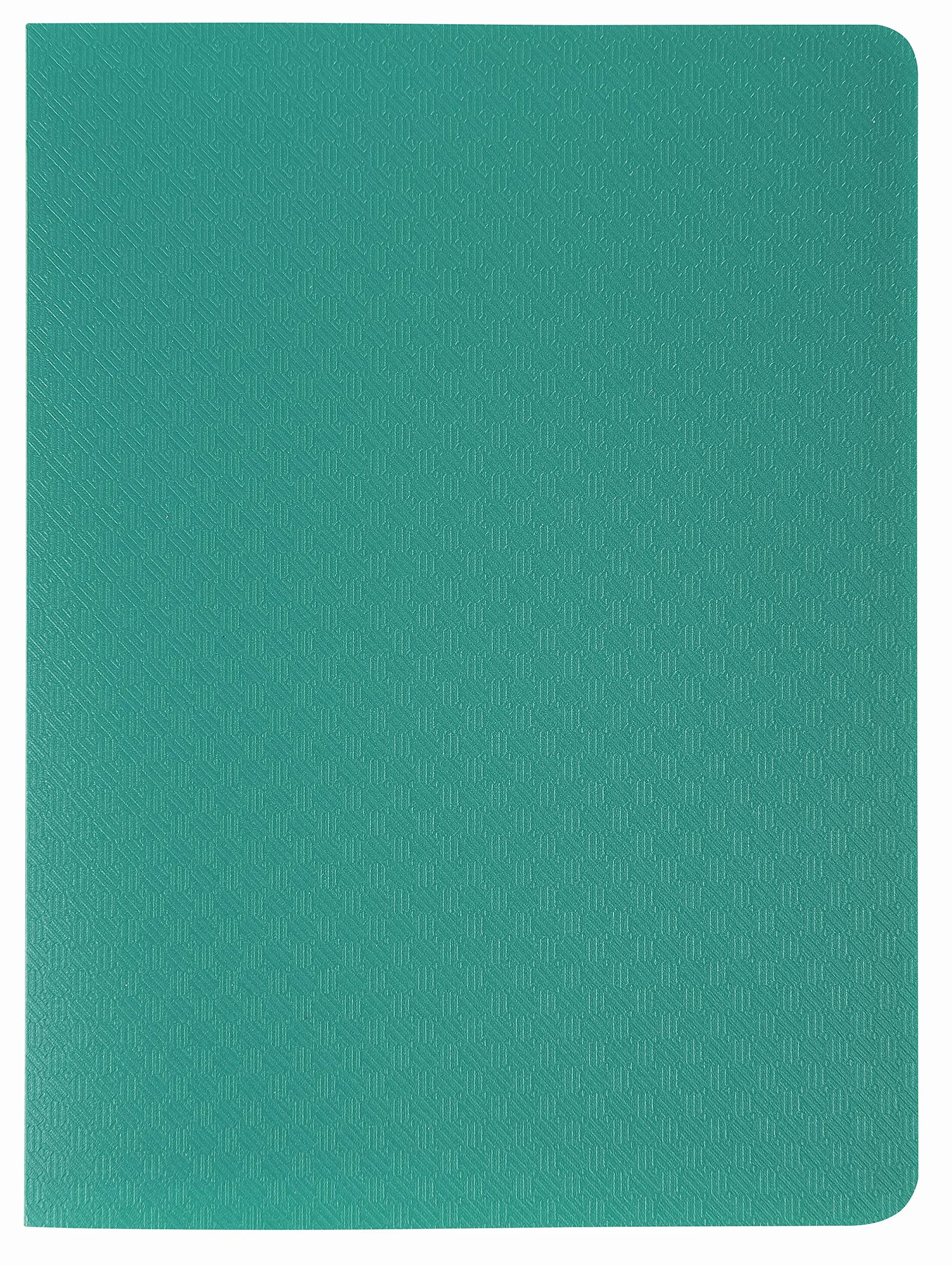 Exacompta Porte vues Opak polypropylène mat 20 pochettes 40 vues 10x15 cm