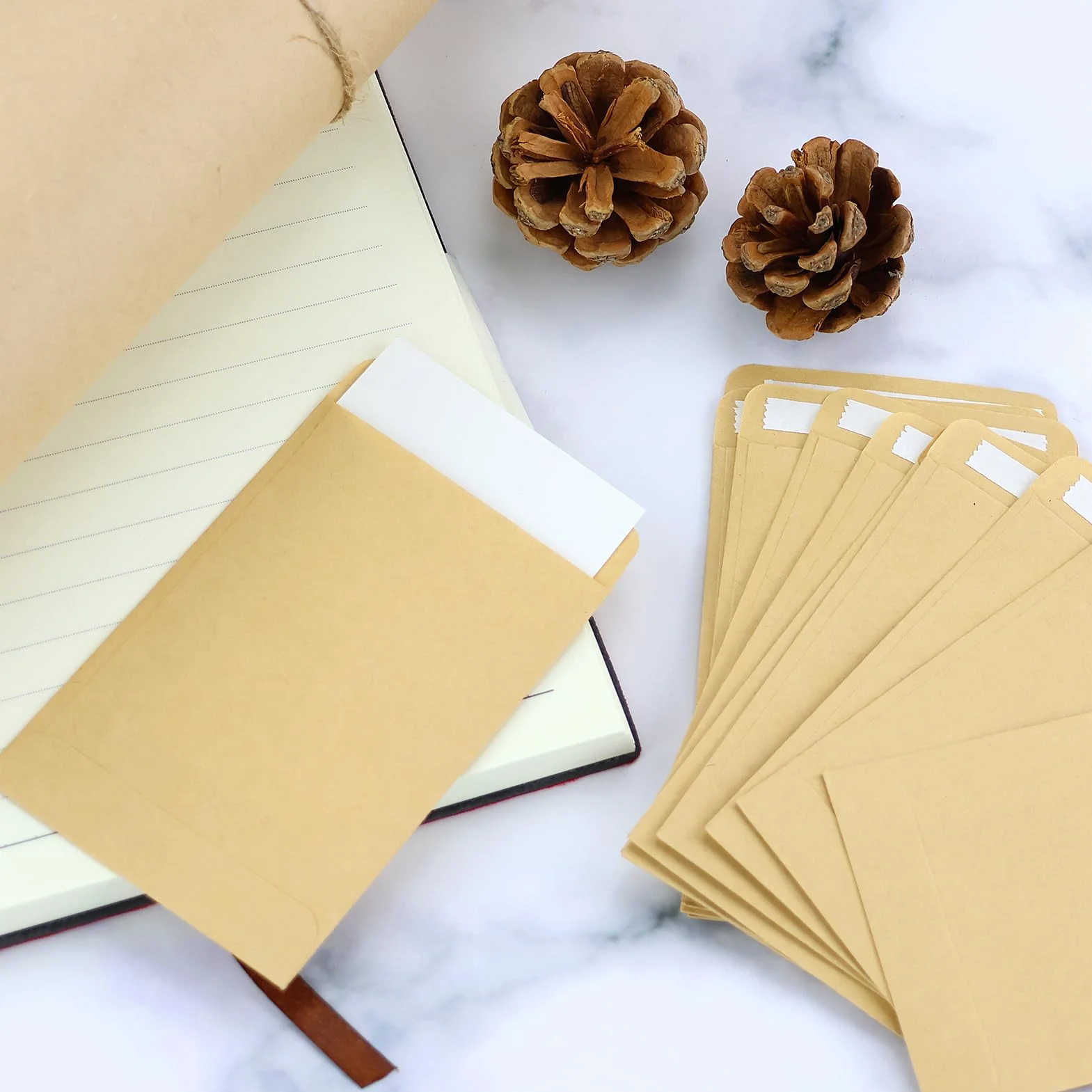 150 Pezzi Mini Sacchetto di Carta Kraft Busta Pacchetti per Semi (6x9) con Nastro Biadesivo