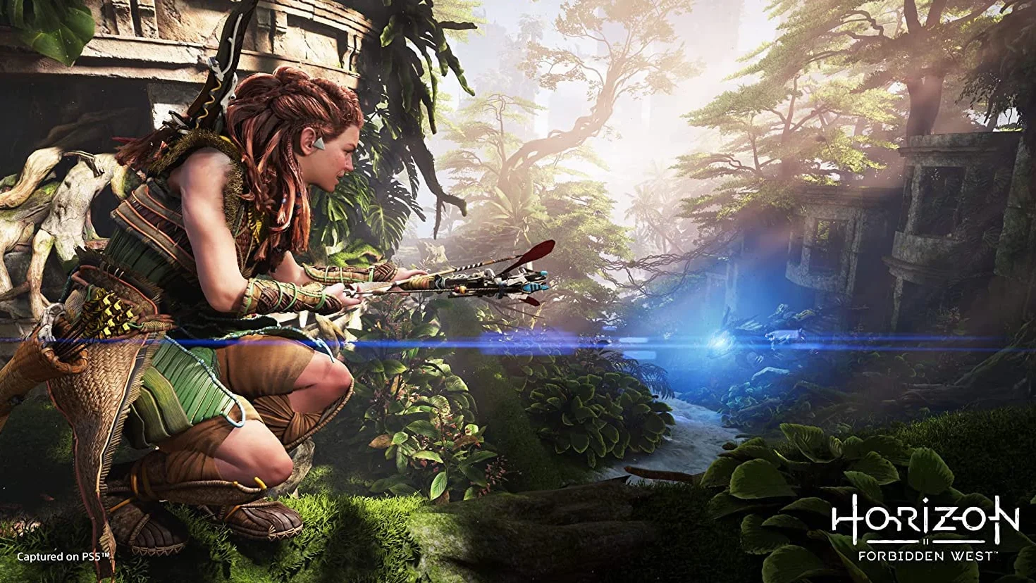 SONY HORIZON 2 FORBIDDEN WEST PS5
