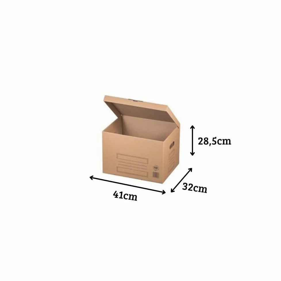 karton-billiger Scatole per Archivio, Cartone Archivio con Coperchio Ribaltabile, 10 Pezzi