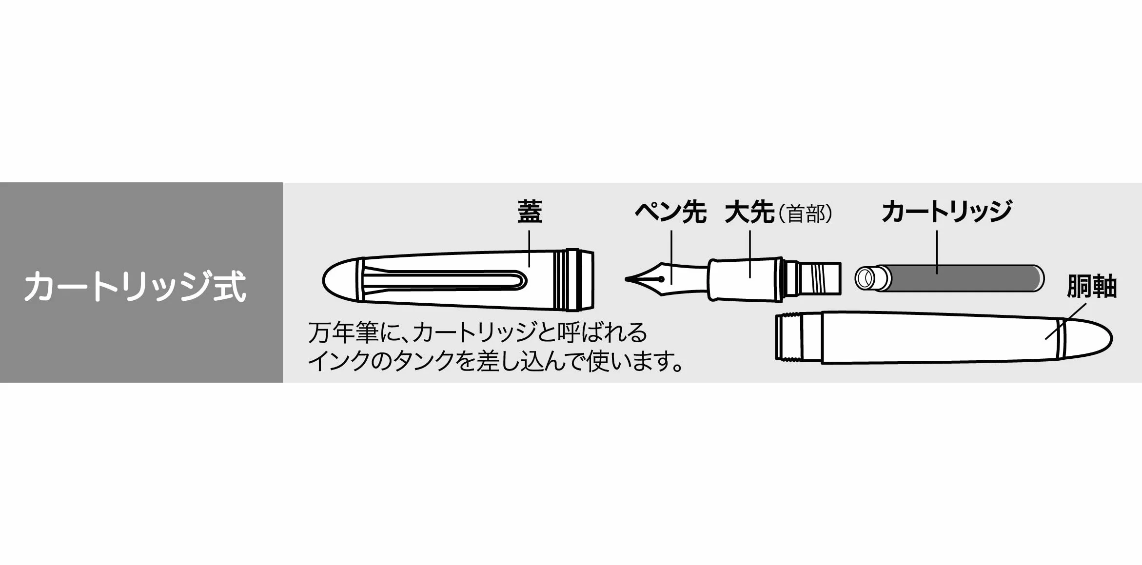 Sailor Pen 11-0311-320 - Penna per fontana, colore: Nero