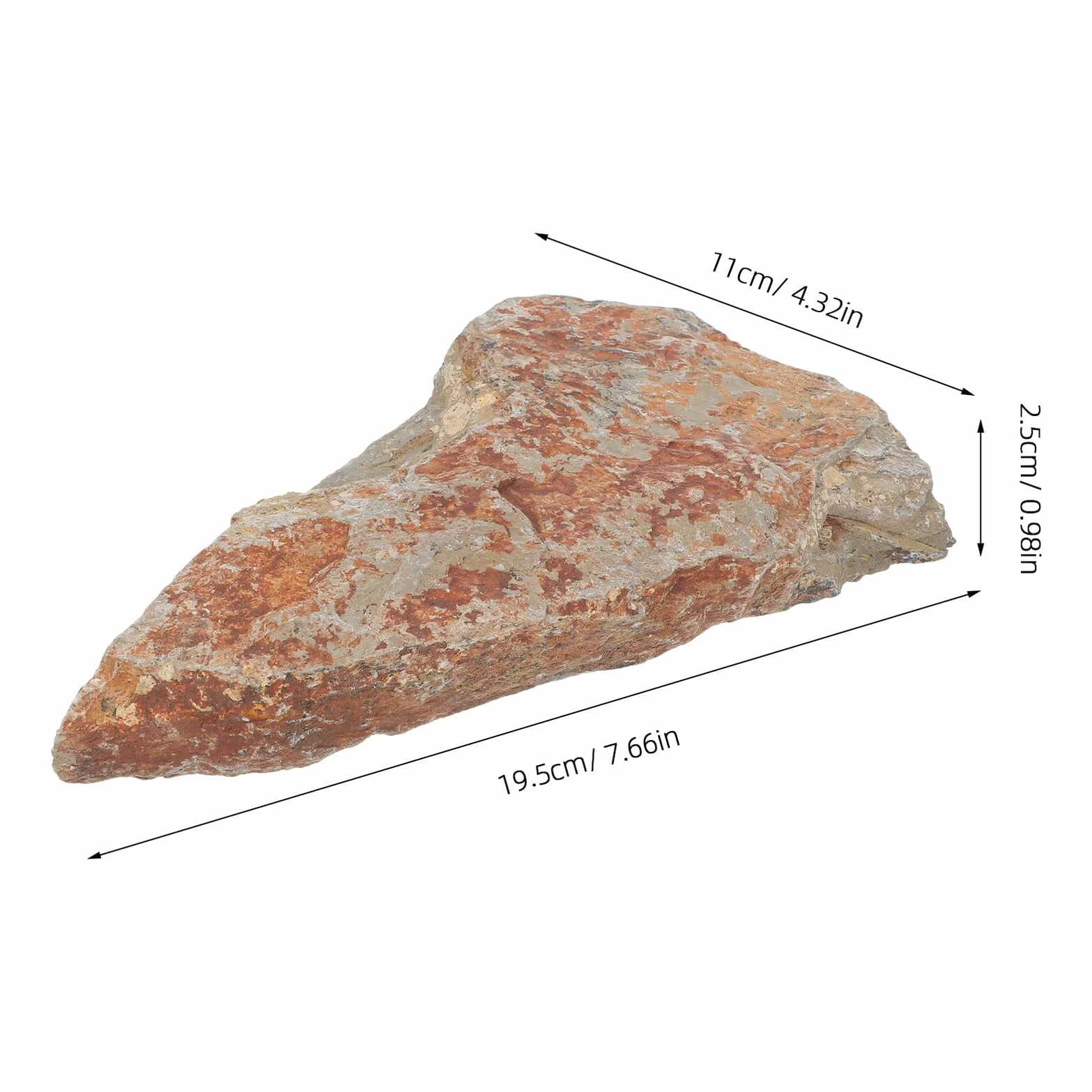 KOMBIUDA Campione di Felce Autentico in Pietra Naturale, Decorazione Elegante per Scrivania, Reperto Paleobotanico Duraturo per Collezione Scientifica e Arredamento Interno