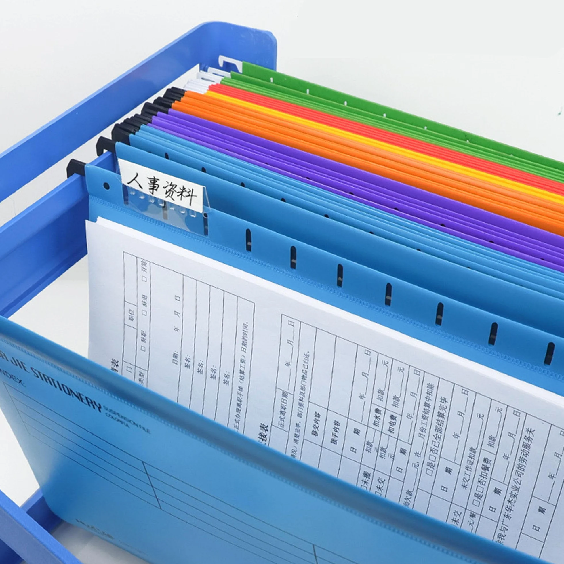 20 lime sospese in polipropilene rinforzata, Cartelle Portadocumenti, formato A4, linguette e inserti per schede per scuola, casa, lavoro, ufficio, organizzazione