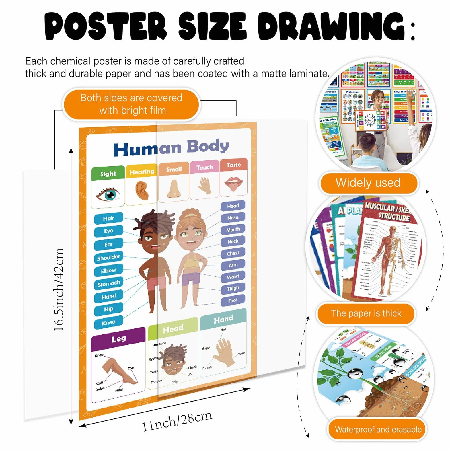Poster educativi 20 fogli apprendimento interattivi riutilizzabili 42x28cm carta colori vivaci aula scuola materna