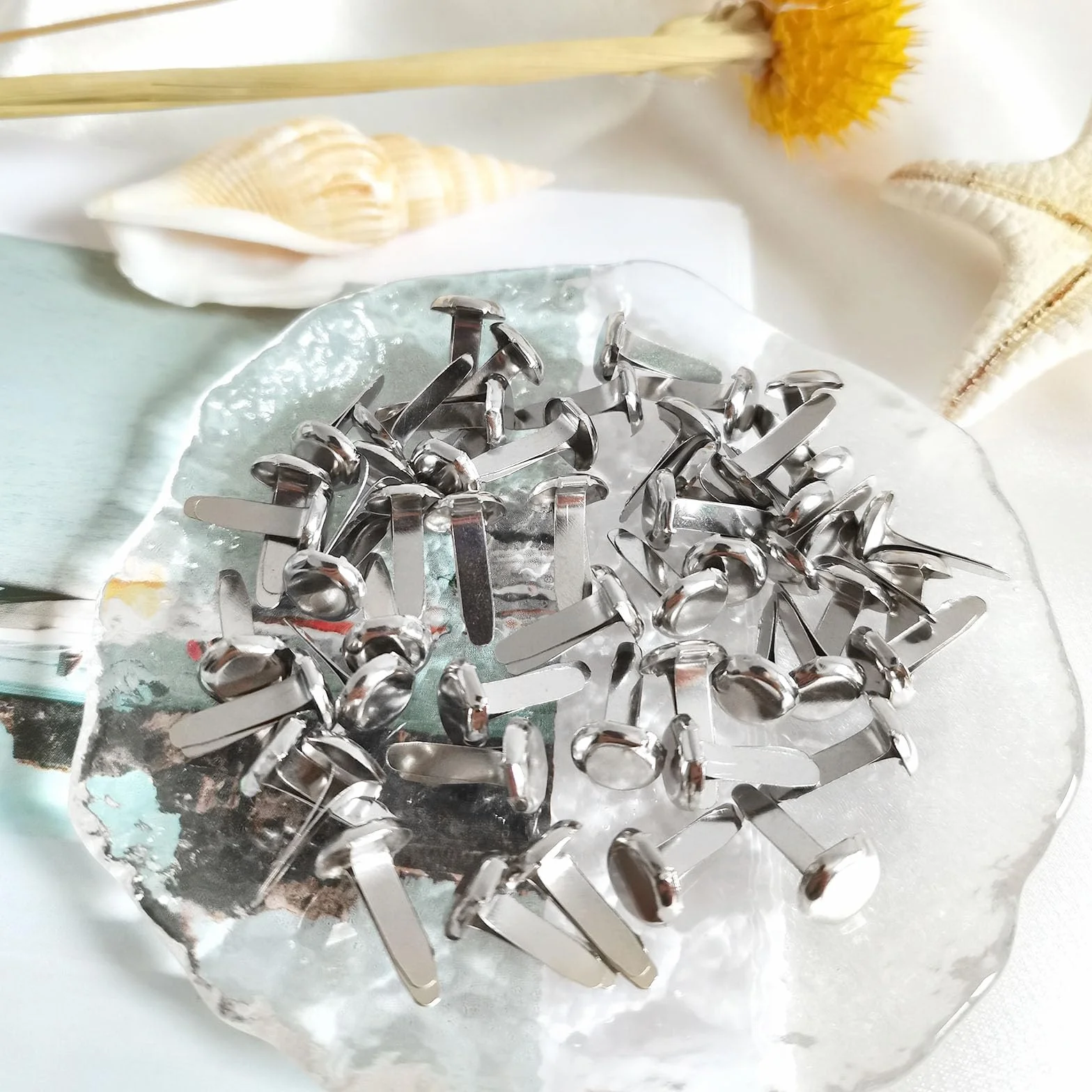 Fermacampioni Ottonati 200 Pezzi, Clip in Metallo A Testa Tonda per Carta Scrapbooking