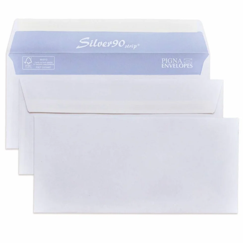 Silver Strip Buste Commerciale F.To 110 x 230 in Carta Uso Mano Fsc 90 g