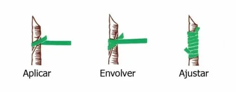 Todocultivo Elastici per innesto Flexiband. 250 g. 240 x 8 mm. Appositamente studiati per tutti i tipi di innesti.