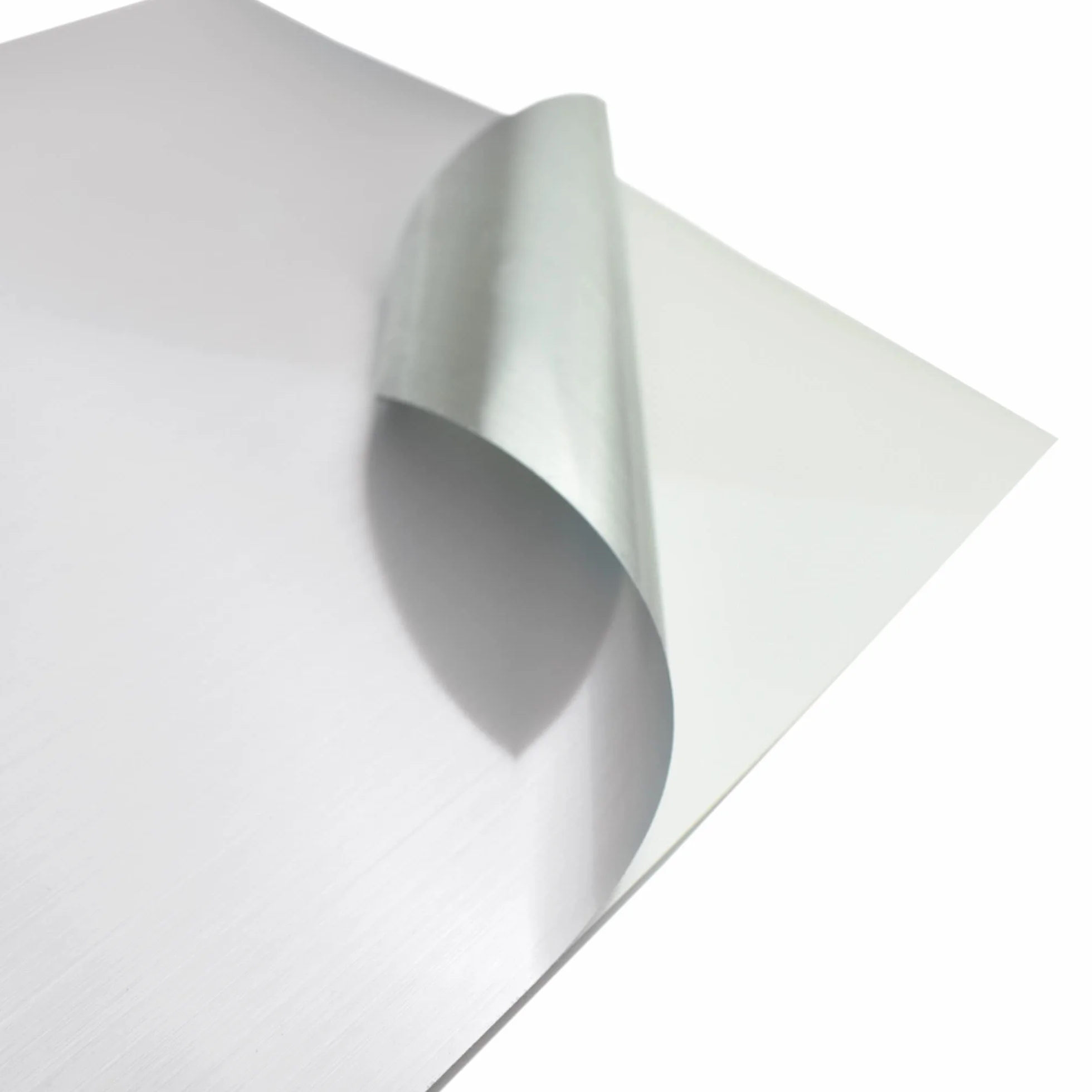 Evergreen Goods 10 fogli vinile adesivo A4 argento spazzolato etichette autoadesive impermeabili stampabili getto d'inchiostro laser Cricut