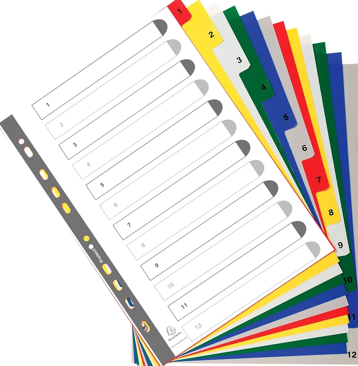Exacompta 20 divisori PP 12 tacche numeriche 1-12 a colori A4