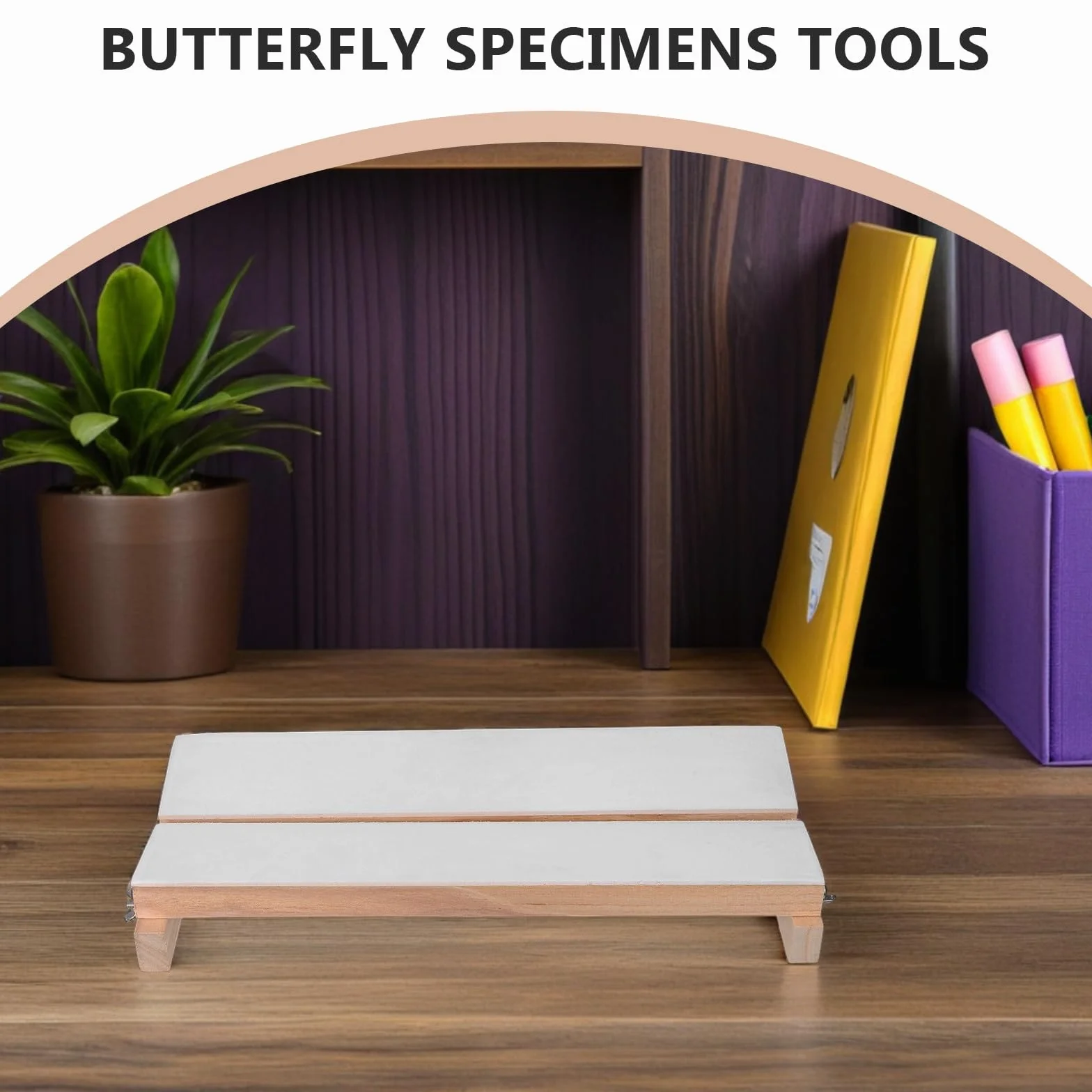 Strumento per Esposizione Farfalle in Schiuma e Legno Leggero e Portatile Design Creativo, per Studenti delle Scuole Elementari e Medie