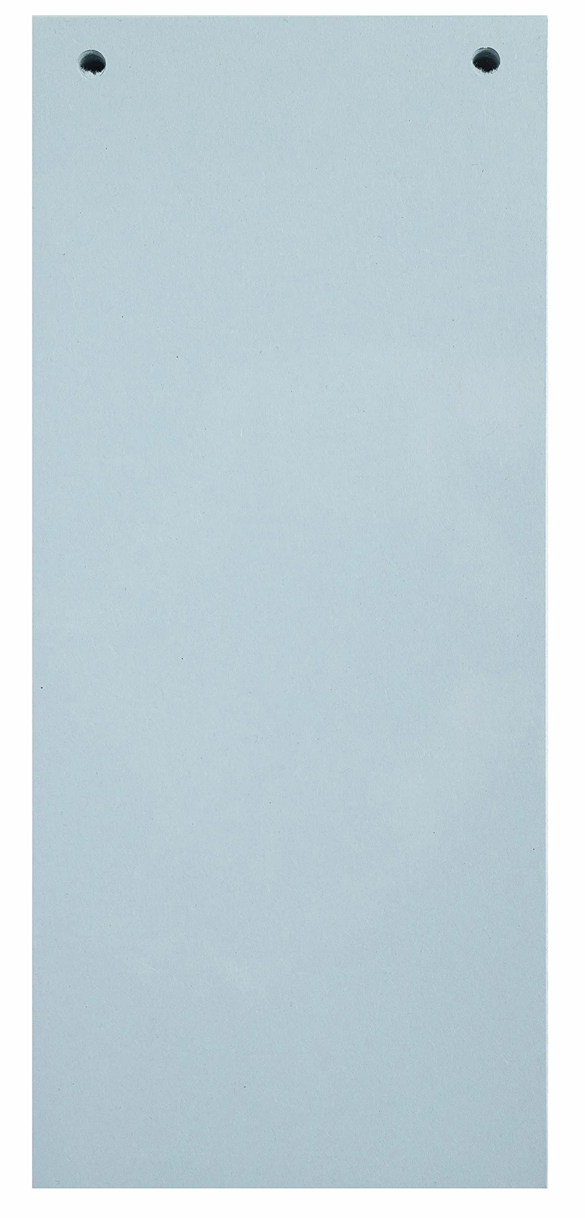 Exacompta Divisori e Segnaletica 10x24 cm Blu